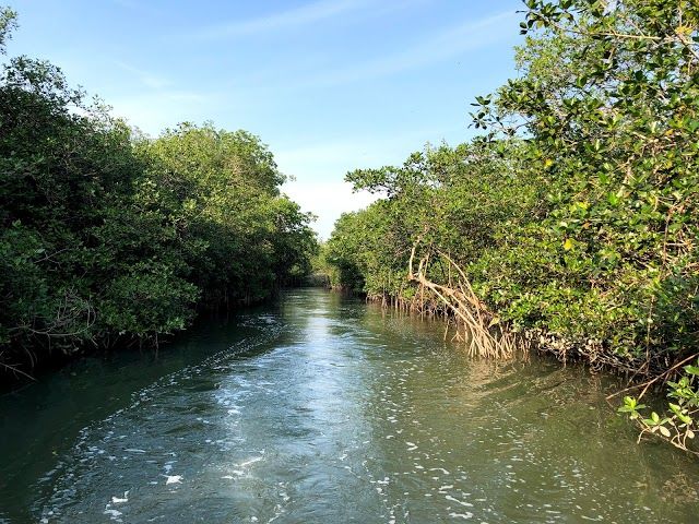 Cocodrilario El Salado